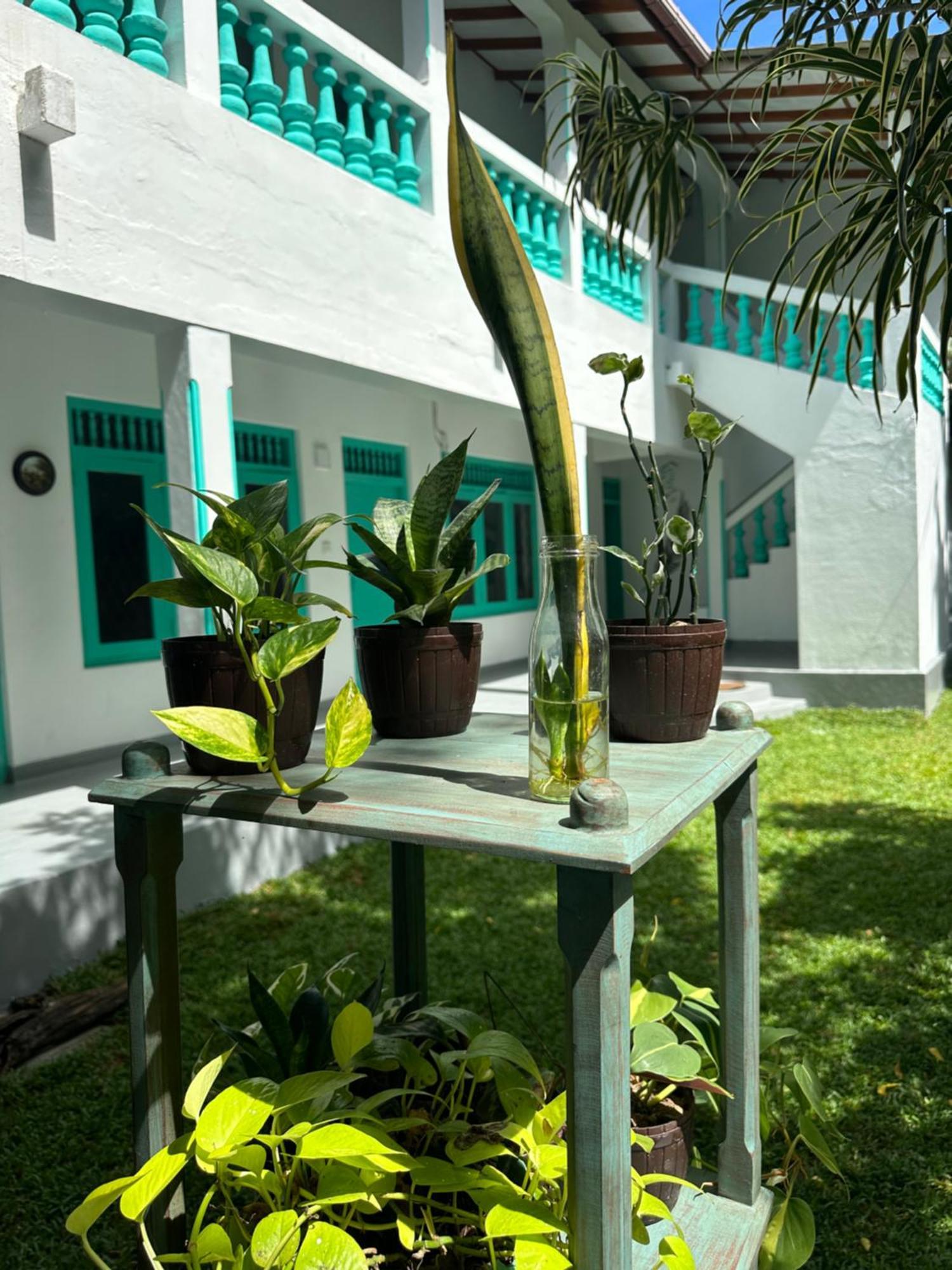 Villa 47 Hikkaduwa Bagian luar foto
