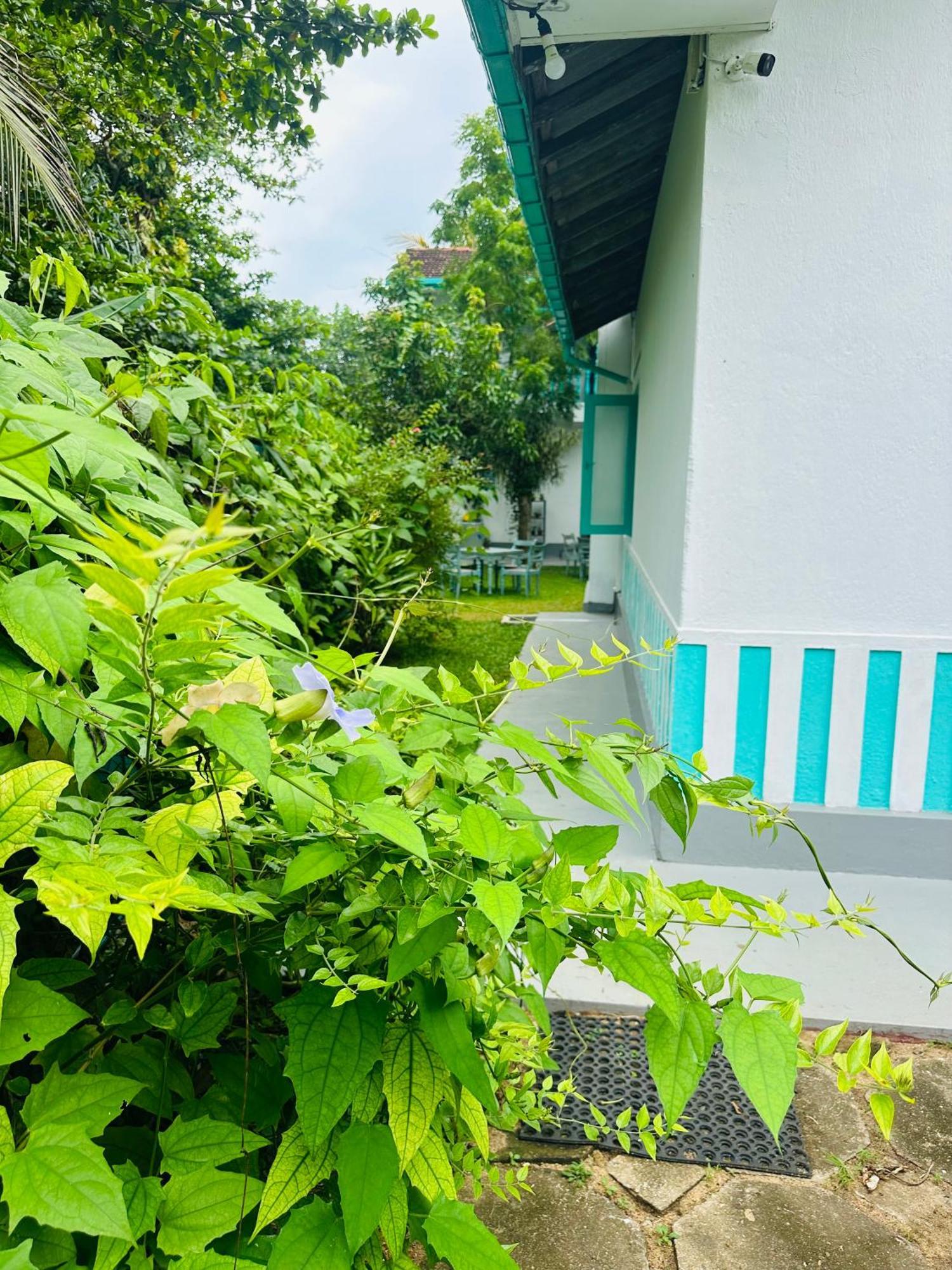 Villa 47 Hikkaduwa Bagian luar foto